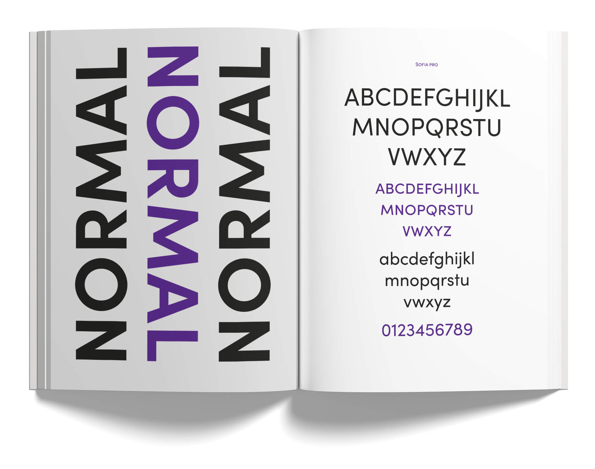 sofia-pro-book-04